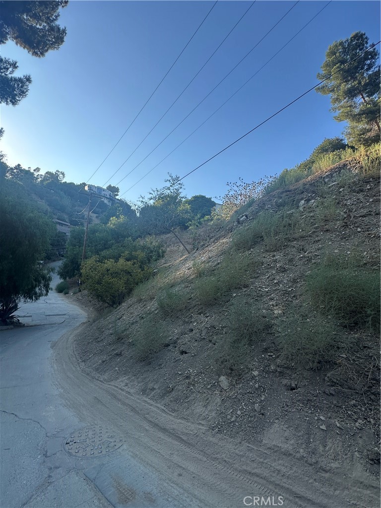 532 Rustic Drive Los Angeles, CA 90065 - Photo 6 of 7 a view of a dry yard