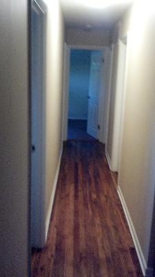135 Bode Road Hoffman Estates, IL 60169 - Photo 5 of 8