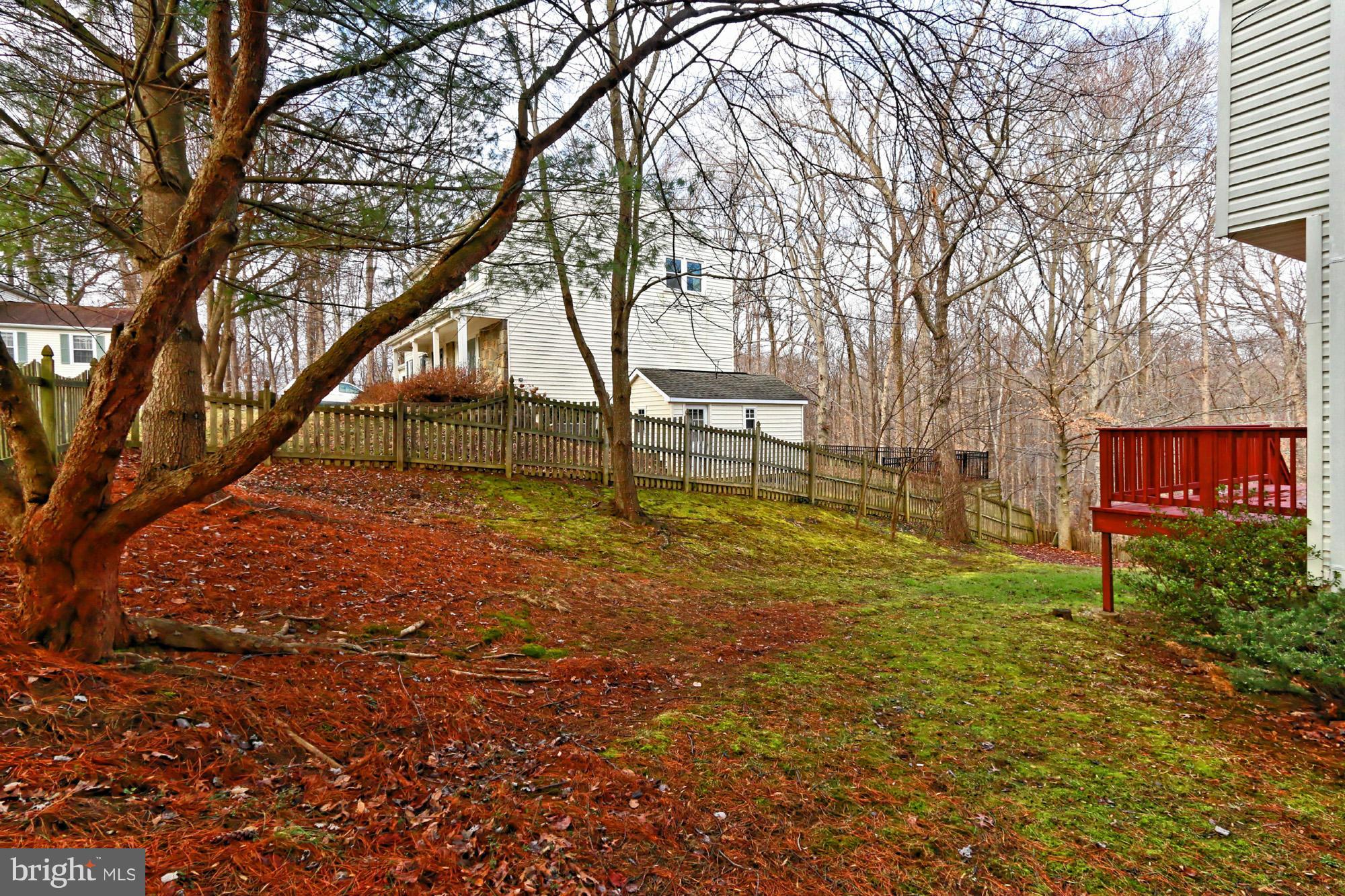 7784 Turlock Road Springfield, VA 22153 - Photo 30 of 30 Exterior (Rear)