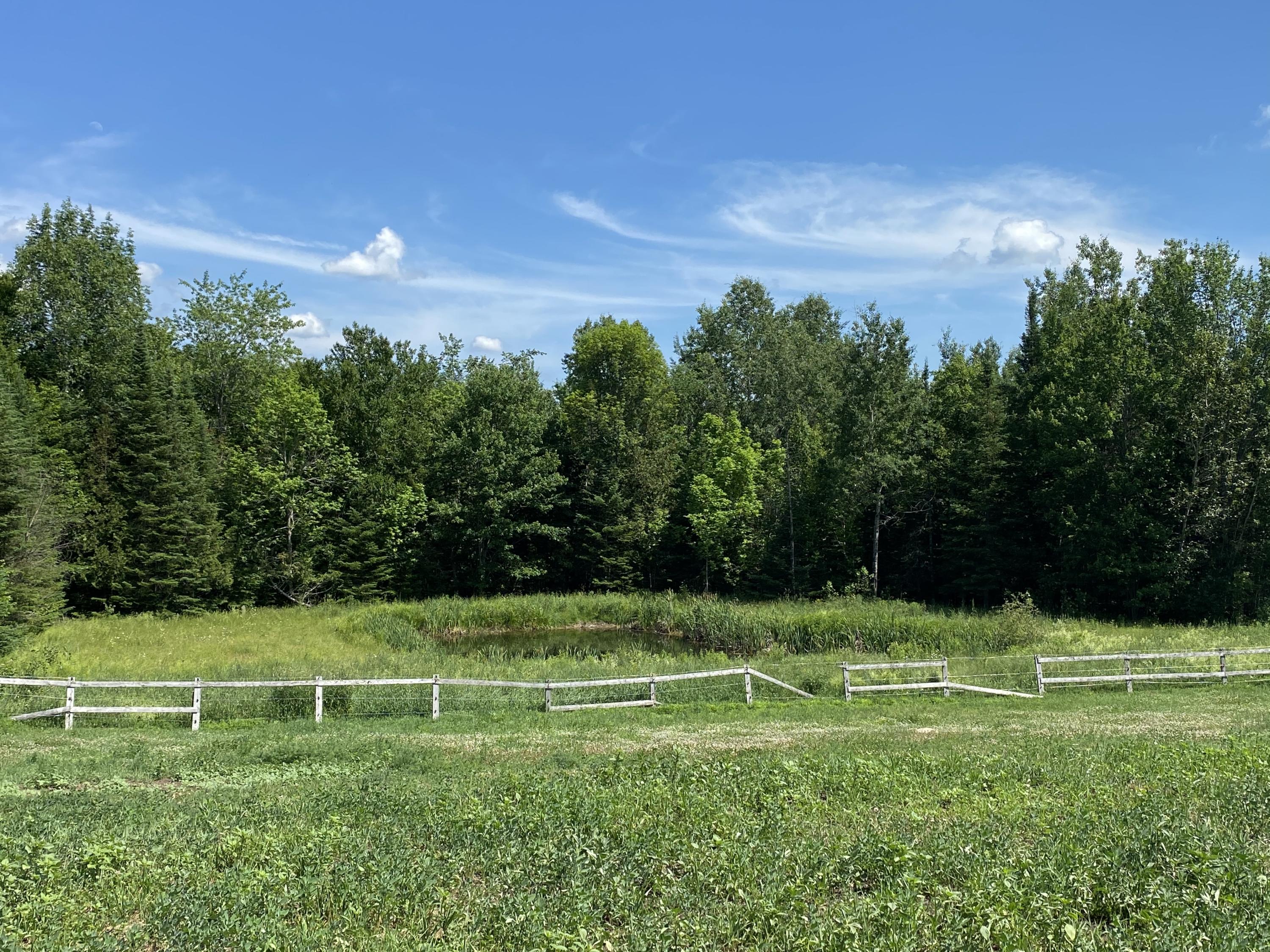 388 Molly Osgood Road Springfield, ME 04487 - Photo 46 of 77 7BBDF261-693E-4212-AAF6-44778B57F511