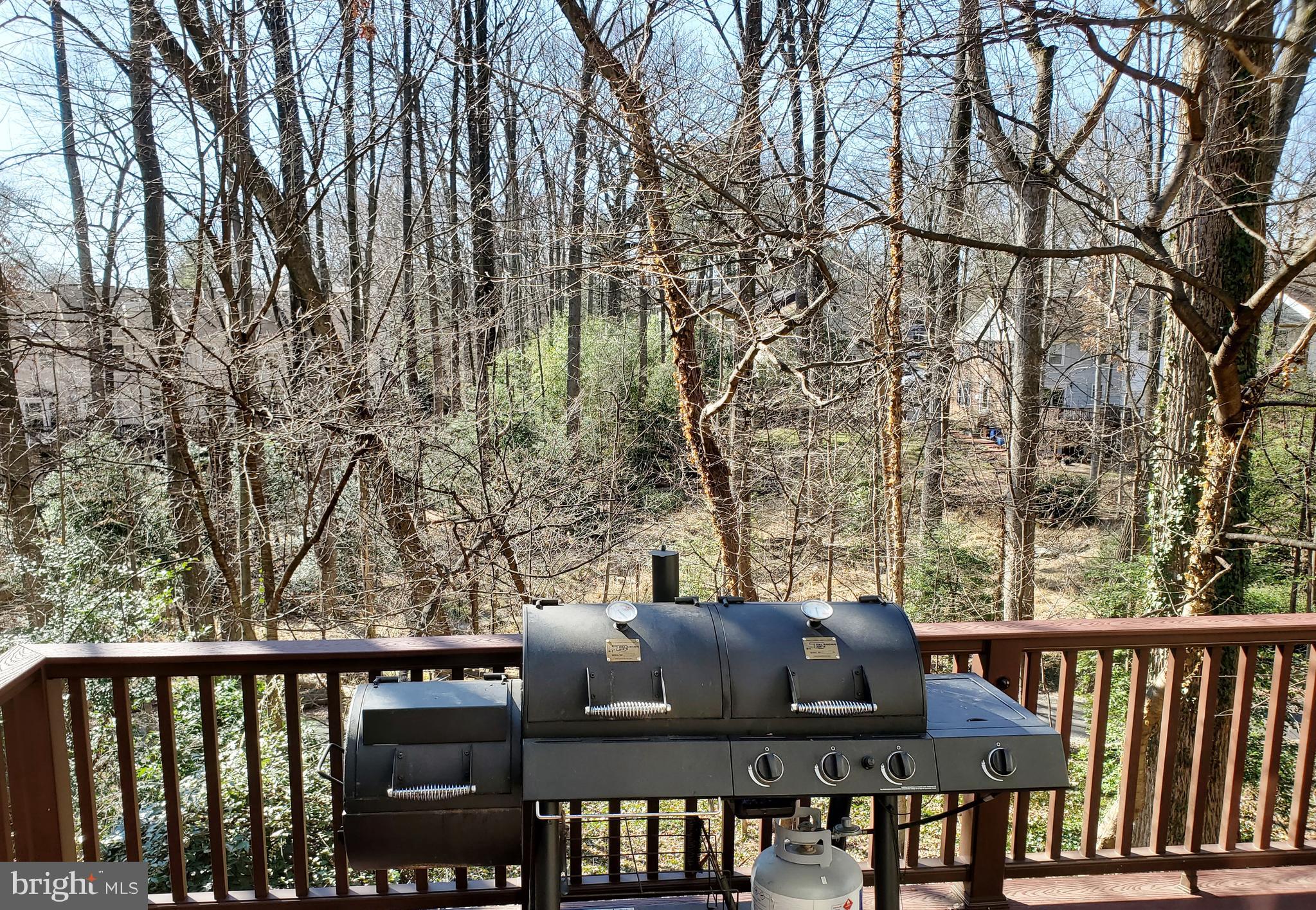 1571 Inlet Court Reston, VA 20190 - Photo 18 of 53 View from back deck - open space