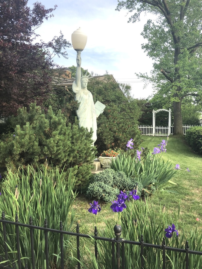 809 West Delaware Avenue Urbana, IL 61801 - Photo 3 of 10 a view of a backyard with plants