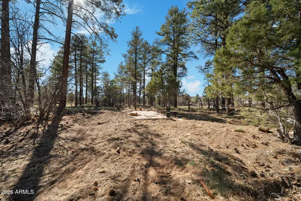 $699,000 | 1234 Turkey Hill Road, Pinedale, AZ 85934