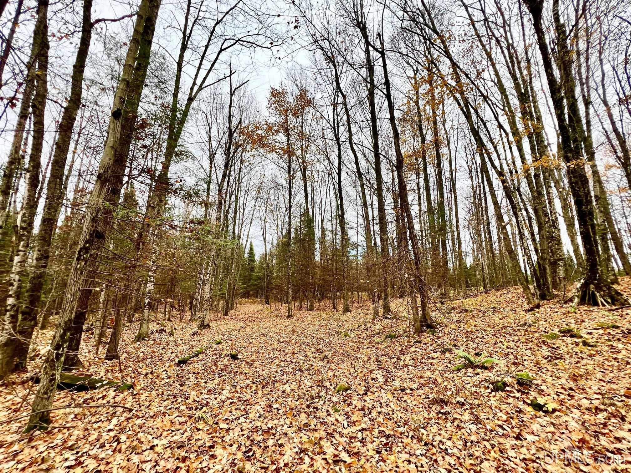 W8487 Leeman Road Sagola, MI 49881 - Photo 9 of 28