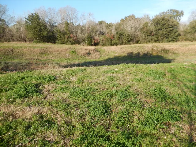 a view of an outdoor space and a yard