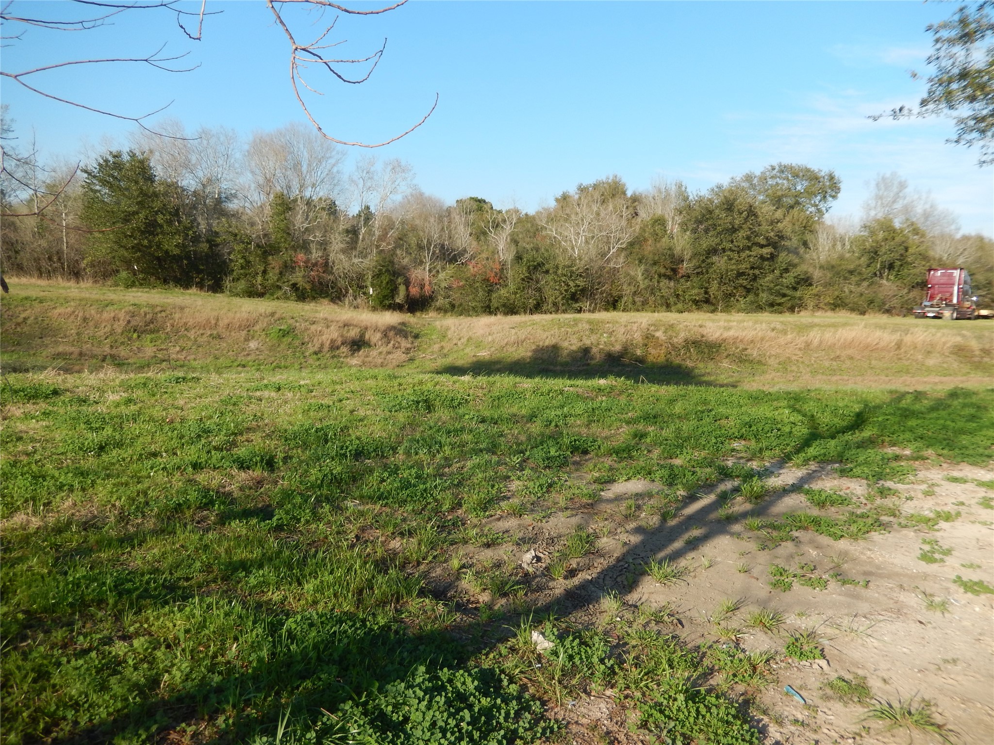 815 Jasmine Street Fresno, TX 77545 - Photo 2 of 7 a view of a field with an trees