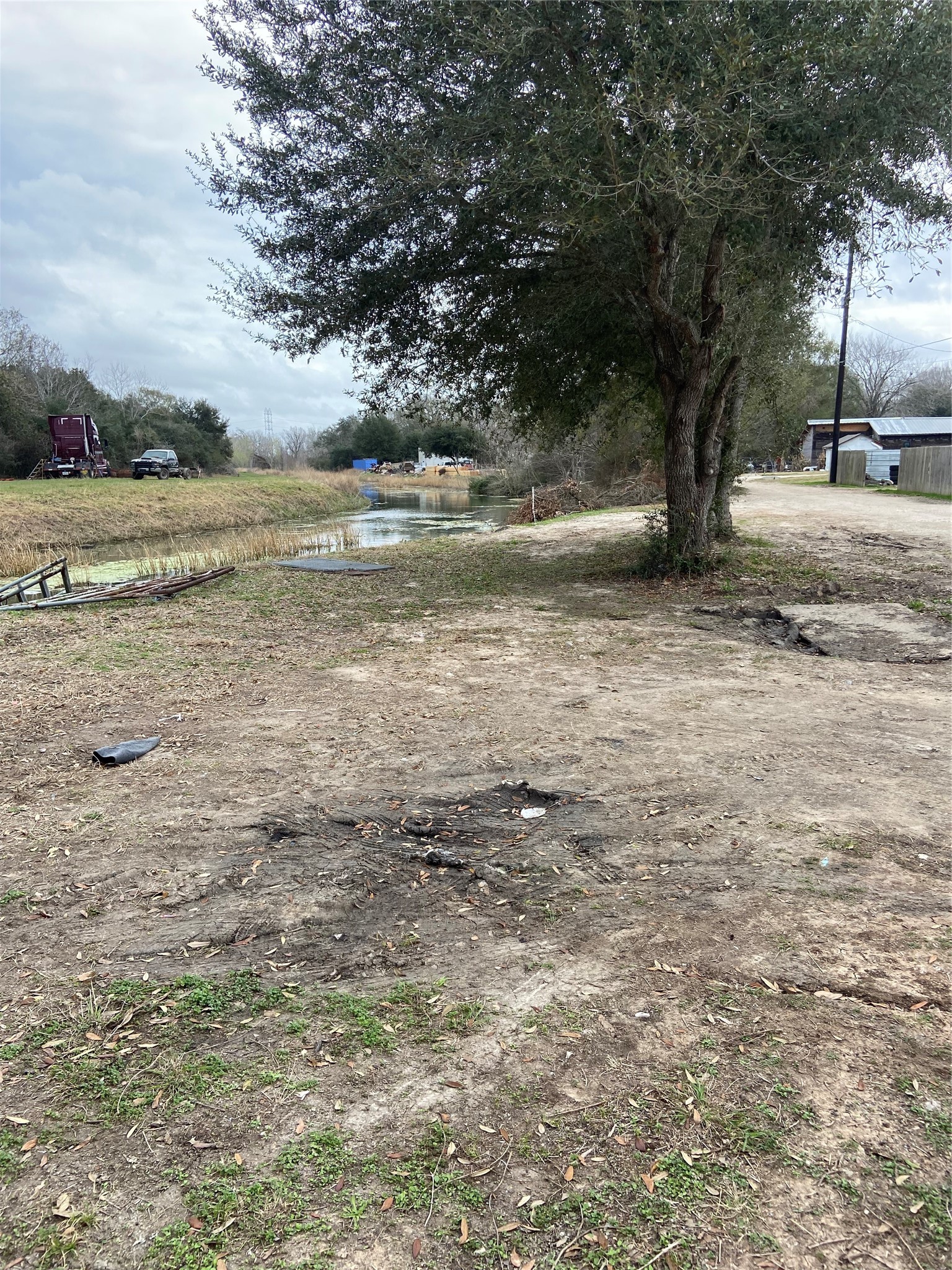 815 Jasmine Street Fresno, TX 77545 - Photo 2 of 11 a view of a yard with a tree