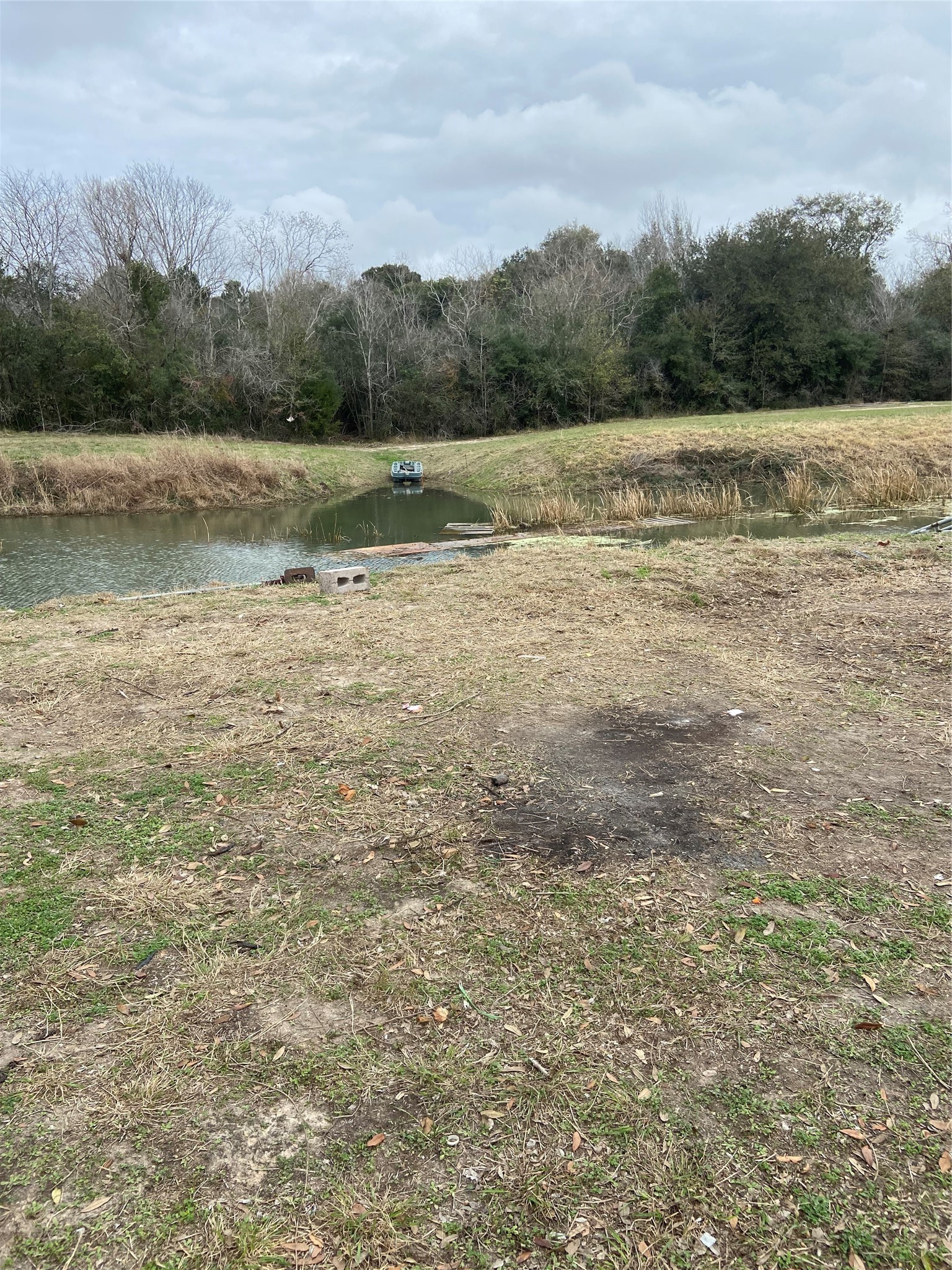 815 Jasmine Street Fresno, TX 77545 - Photo 3 of 11 a view of outdoor space with green field and trees