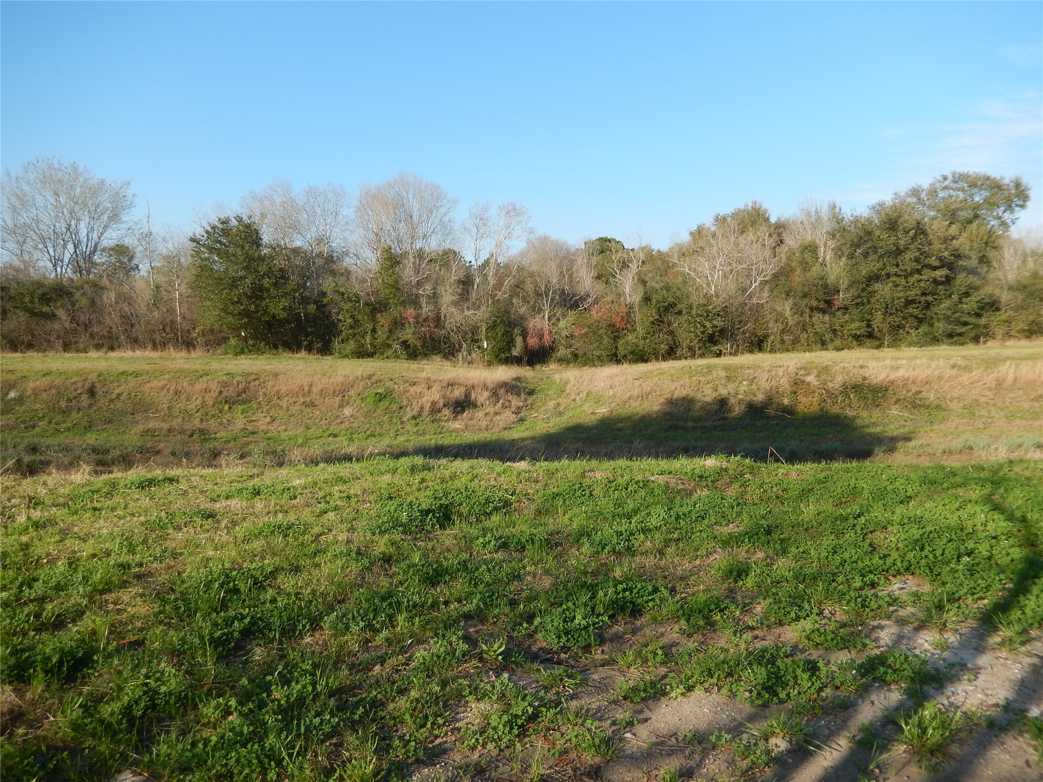815 Jasmine Street Fresno, TX 77545 - Photo 6 of 7 a view of an outdoor space with a lake view