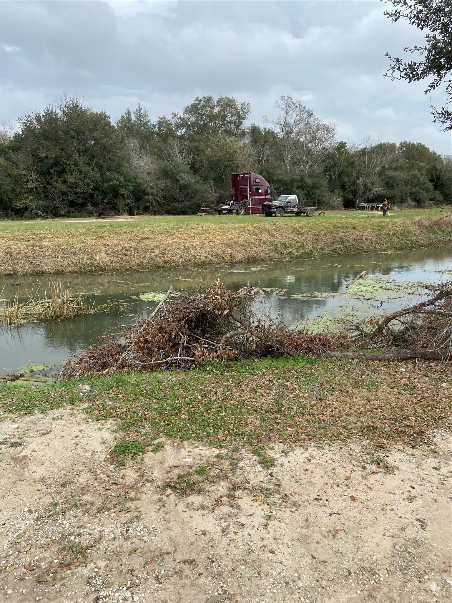 815 Jasmine Street Fresno, TX 77545 - Photo 7 of 11 a view of a field with an ocean beach