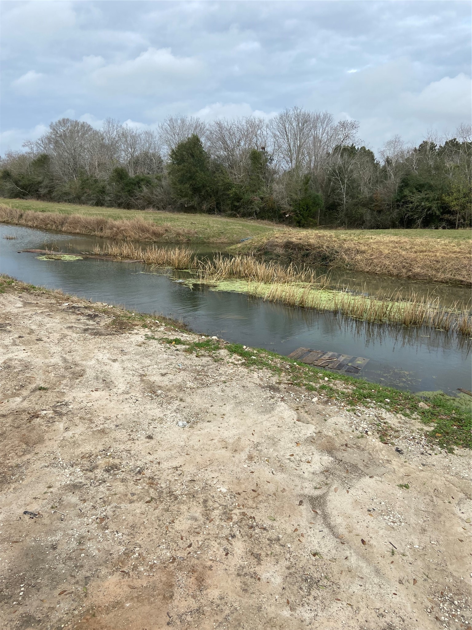 815 Jasmine Street Fresno, TX 77545 - Photo 8 of 11 a view of a lake with a city