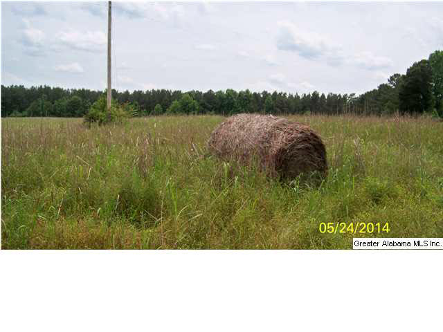 18 County Road, Unit 33 Bremen, AL 35033 - Photo 3 of 9