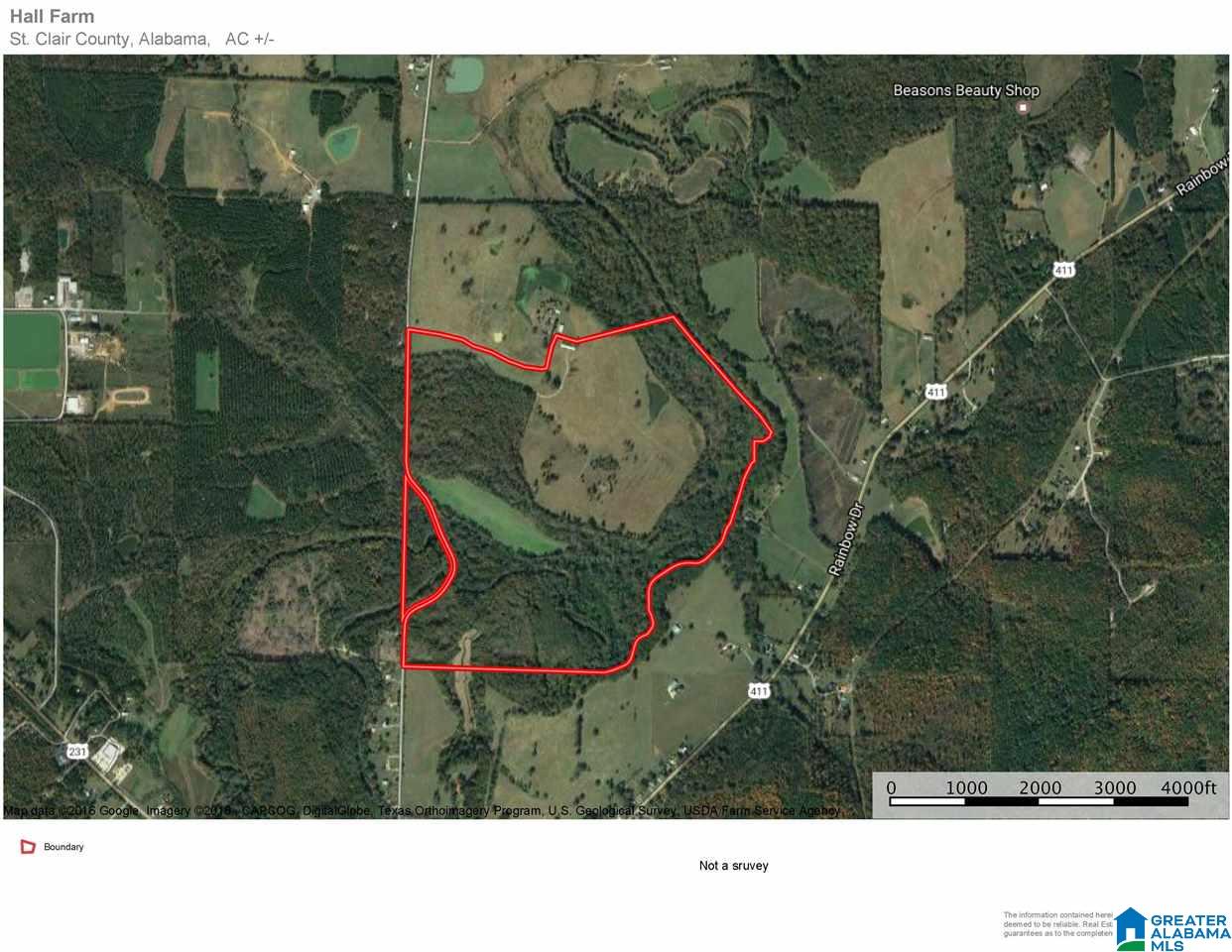 0 Double Bridge Road, Unit 286 Ashville, AL 35953 - Photo 31 of 34
