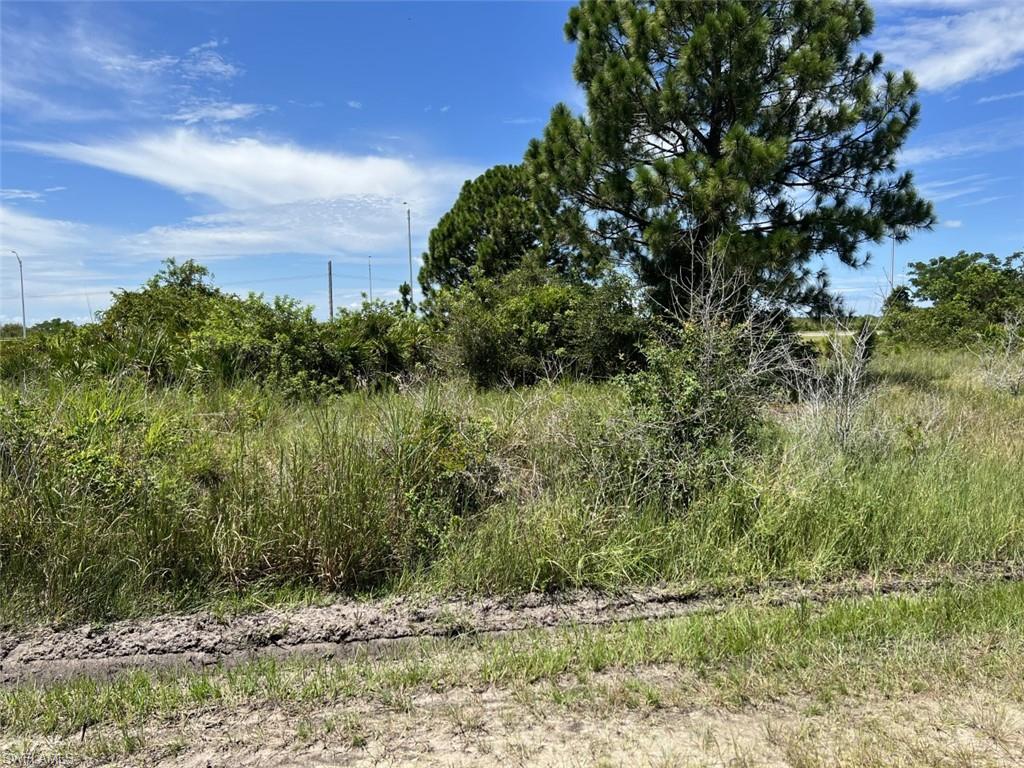 3368 Meadow Road Lehigh Acres, FL 33974 - Photo 3 of 10 View looking at lot from Meadow Rd