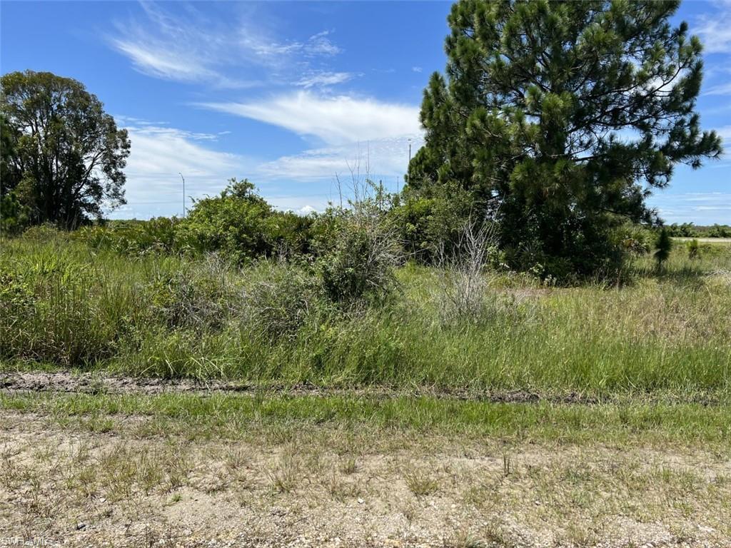3368 Meadow Road Lehigh Acres, FL 33974 - Photo 4 of 10 View from the street