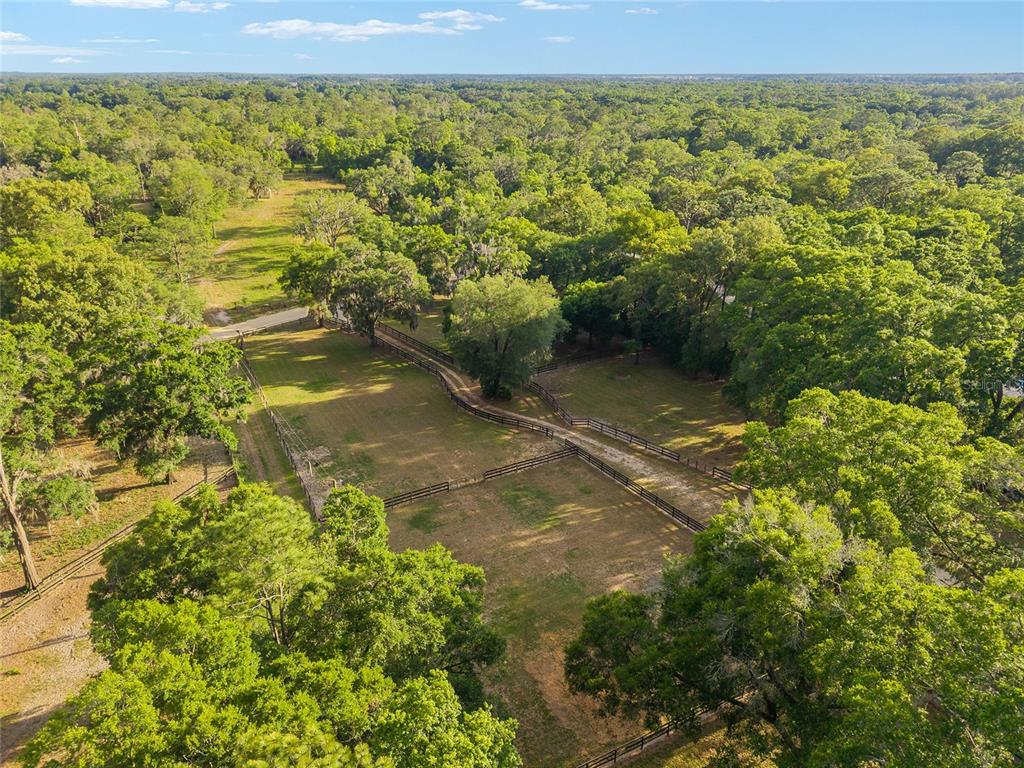 8117 Southwest 41st Place Road Ocala, FL 34481 - Photo 20 of 55