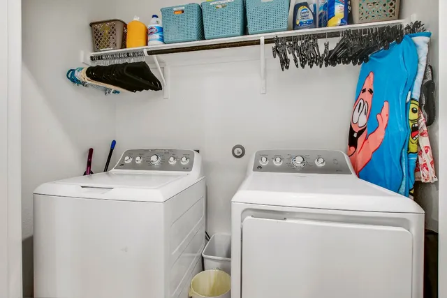 a view of a path along with potted plants