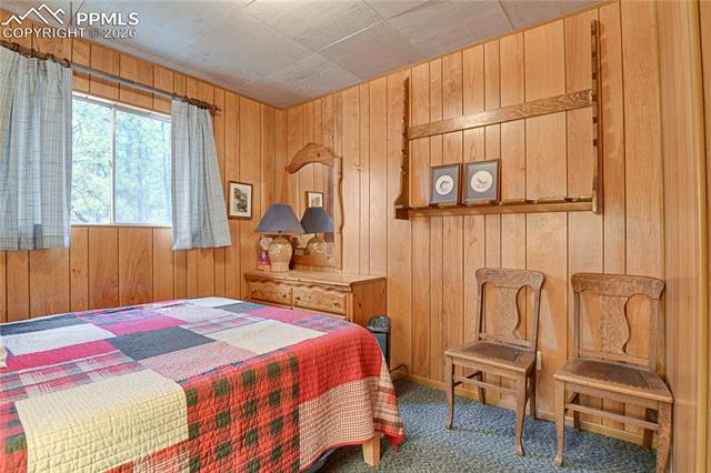 80 South Crystal Road Lake George, CO 80827 - Photo 20 of 48 Bedroom 1