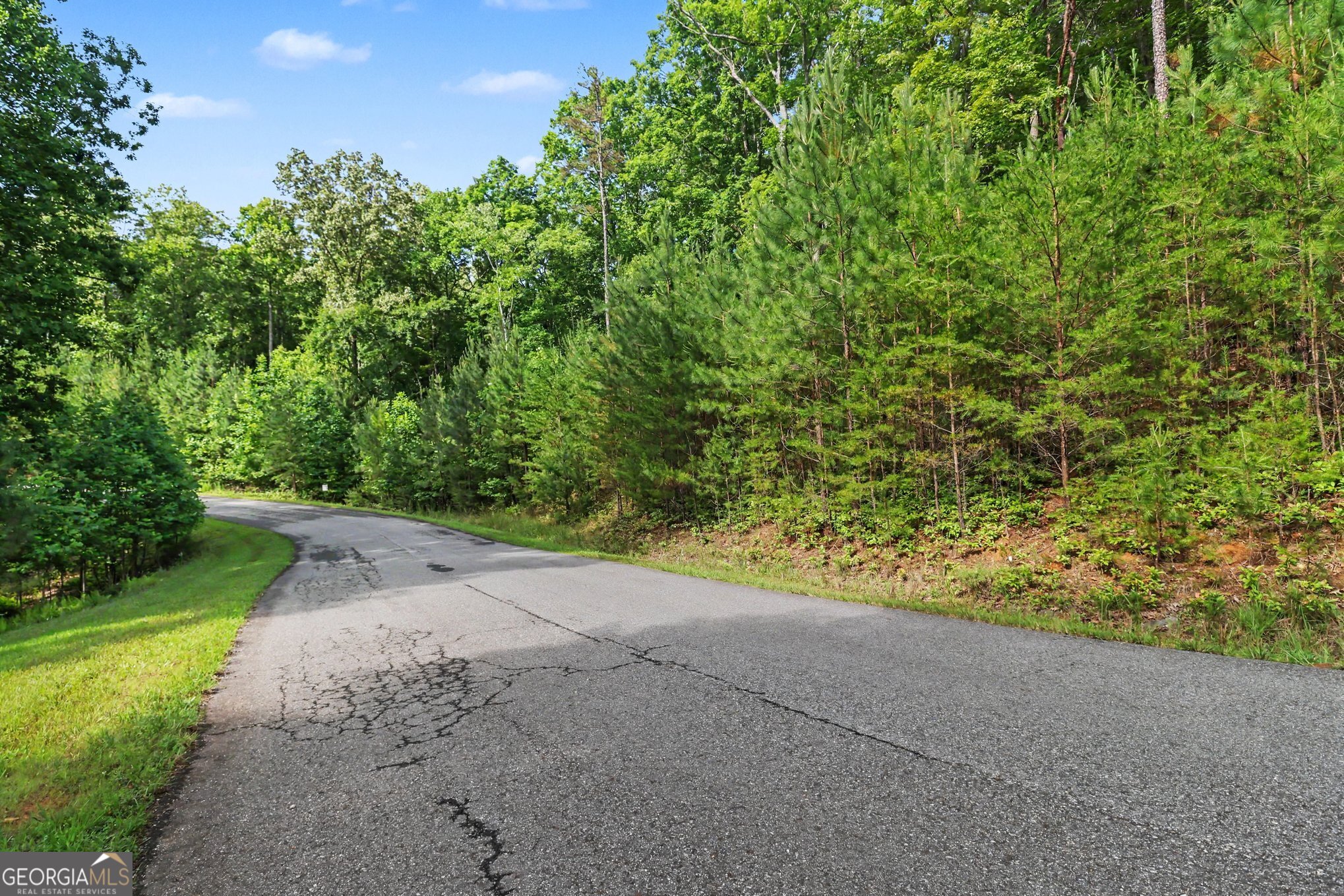 230 Rushing Water Drive Blairsville, GA 30512 - Photo 20 of 22