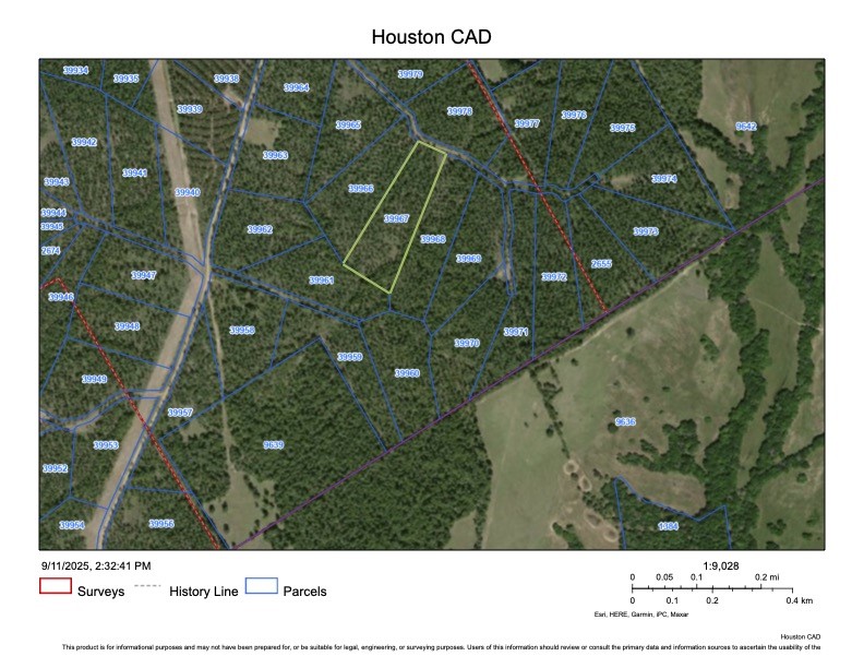 88 Robertson Road Lovelady, TX 75851 - Photo 6 of 6 a black and white photo of a tree