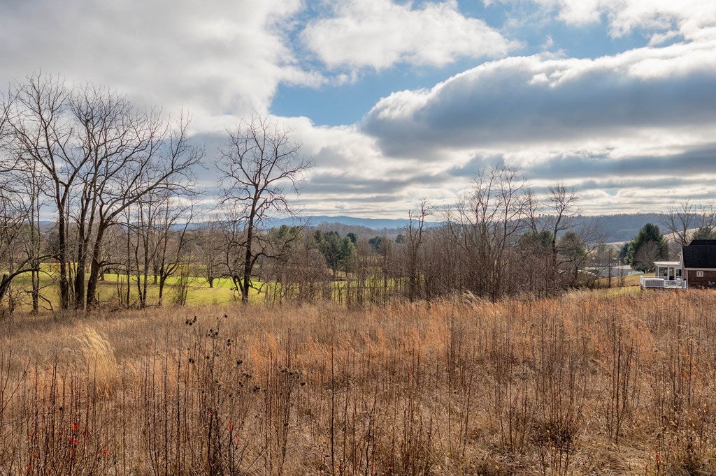2948 Big Valley Road, Unit 43 Draper, VA 24324 - Photo 5 of 36 Gallery Image 5