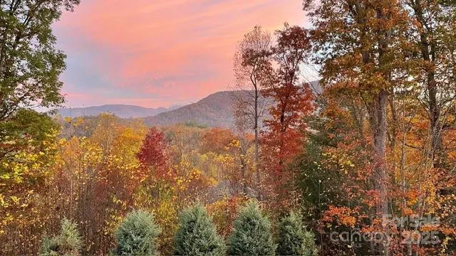 a view of mountain view with lots of trees