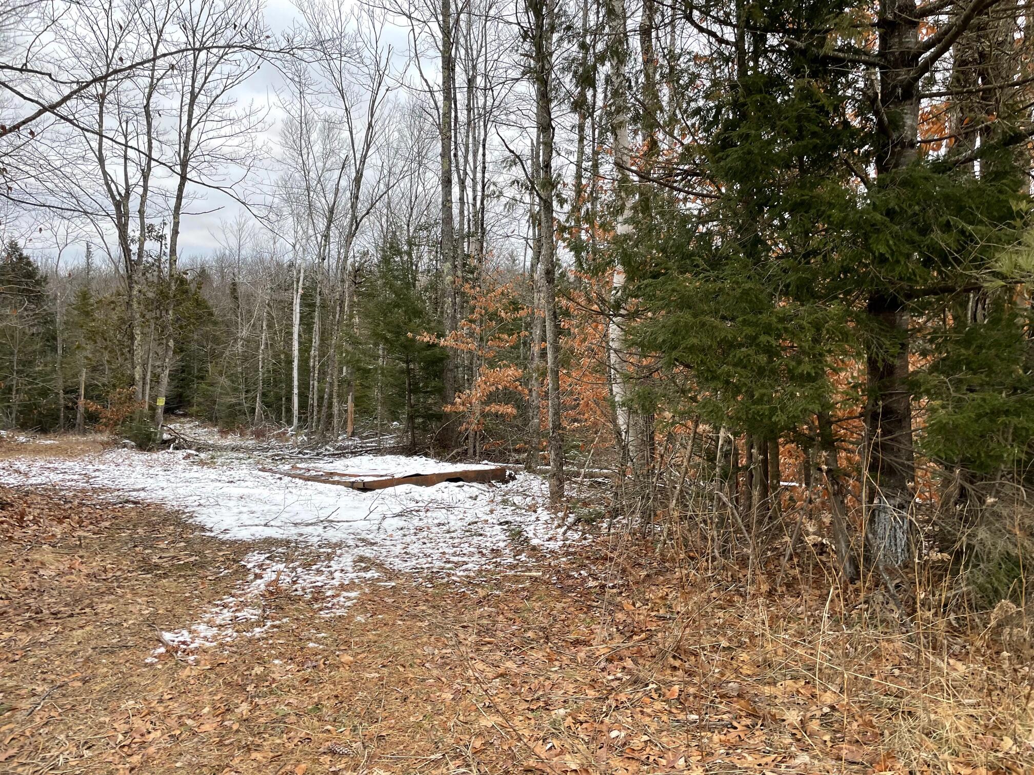 0 Valley Road Jackson, ME 04921 - Photo 2 of 22 IMG_1903