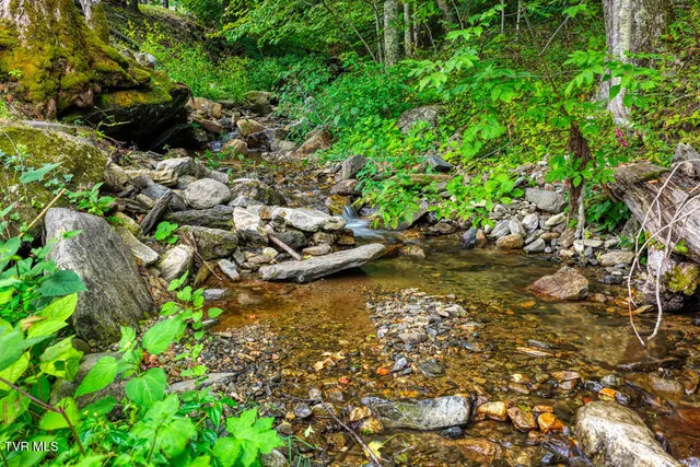 $539,700 | 1708 Highway 143, Roan Mountain, TN 37687