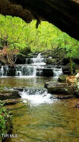 $539,700 | 1708 Highway 143, Roan Mountain, TN 37687