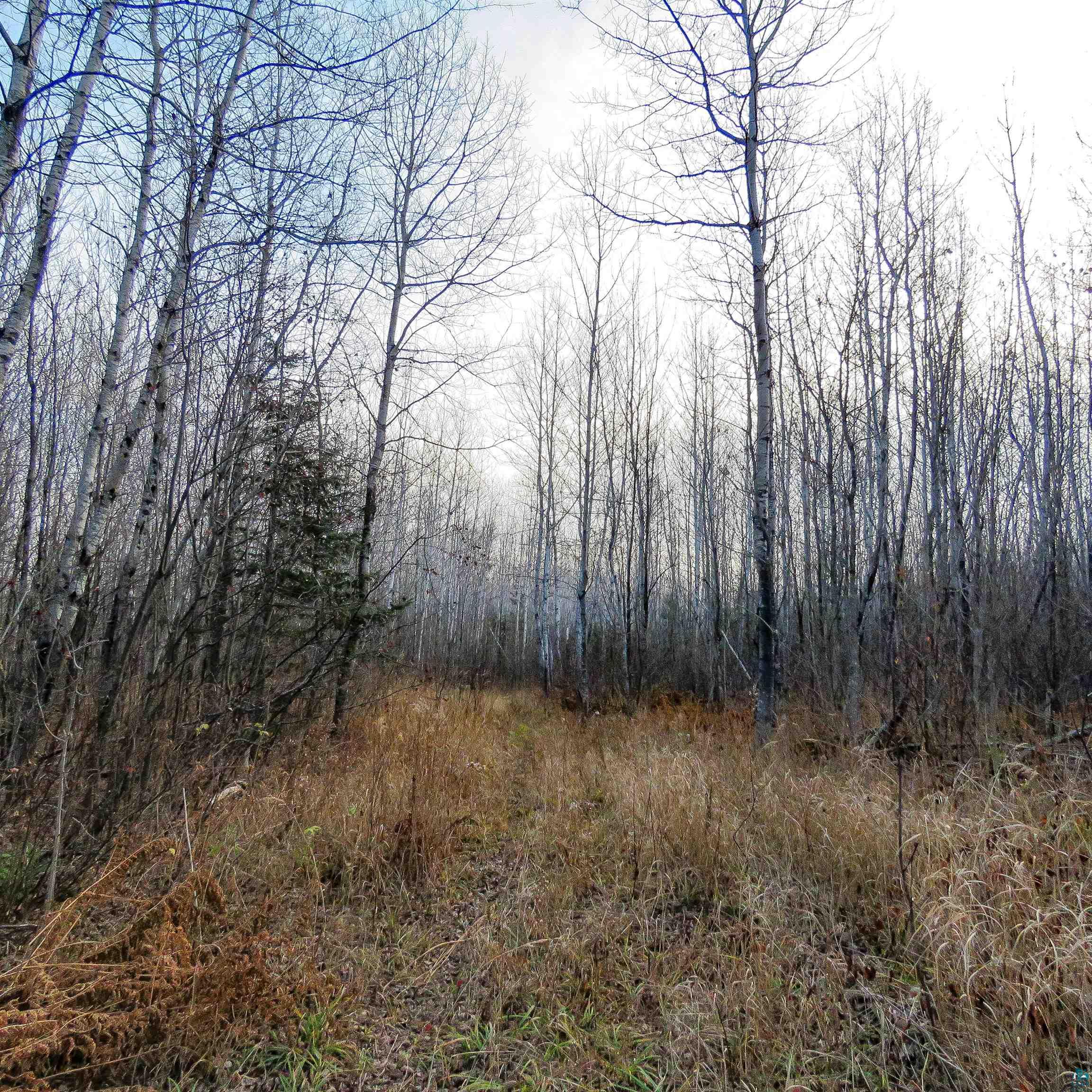 Xxx Mattson Road Finland, MN 55603 - Photo 24 of 50 Gallery Image 24