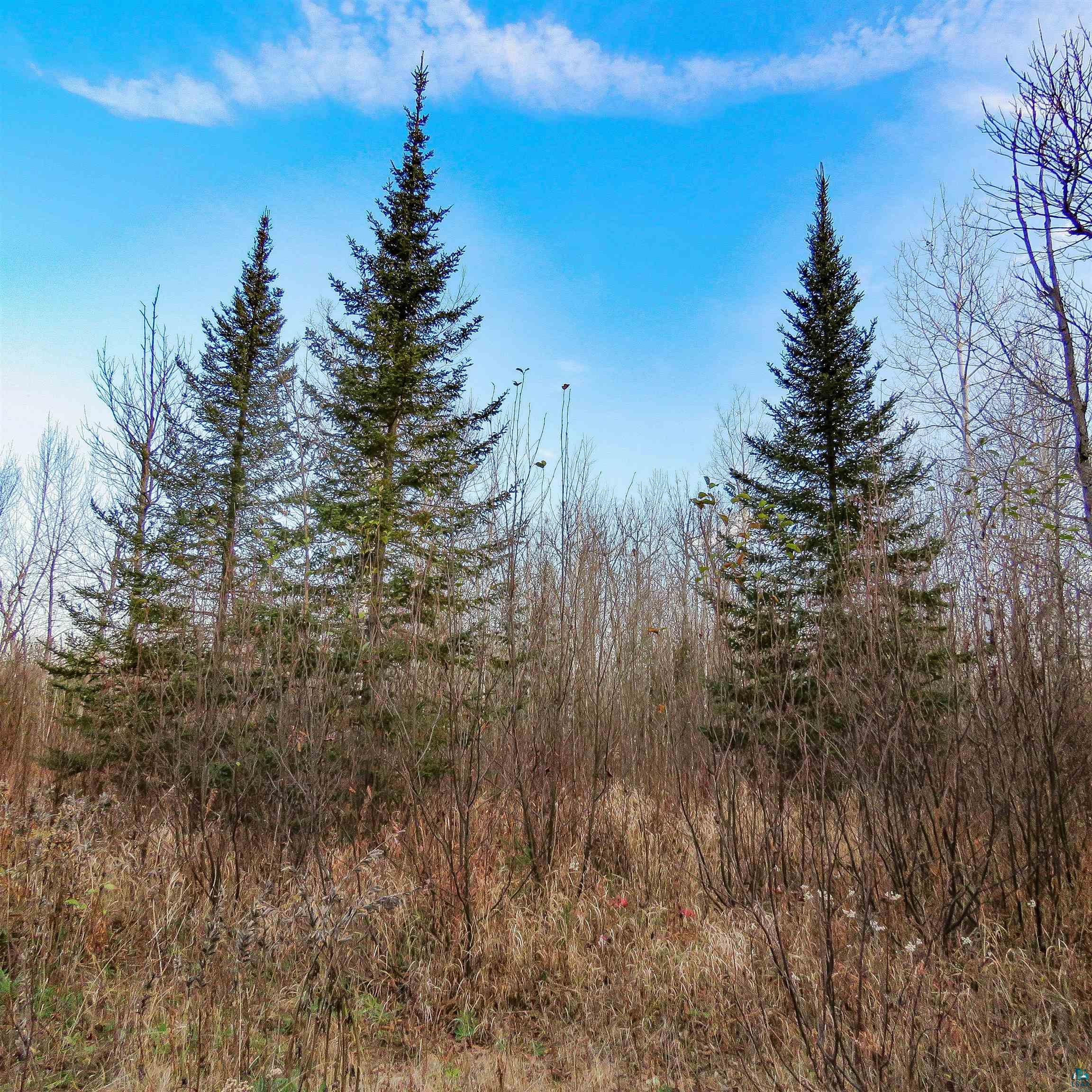 Xxx Mattson Road Finland, MN 55603 - Photo 30 of 50 Gallery Image 30