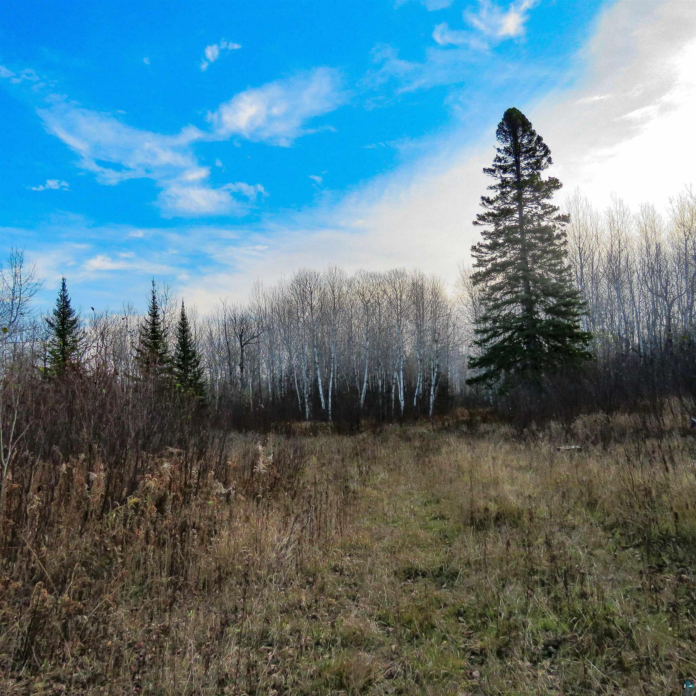 Xxx Mattson Road Finland, MN 55603 - Photo 45 of 50 Gallery Image 45