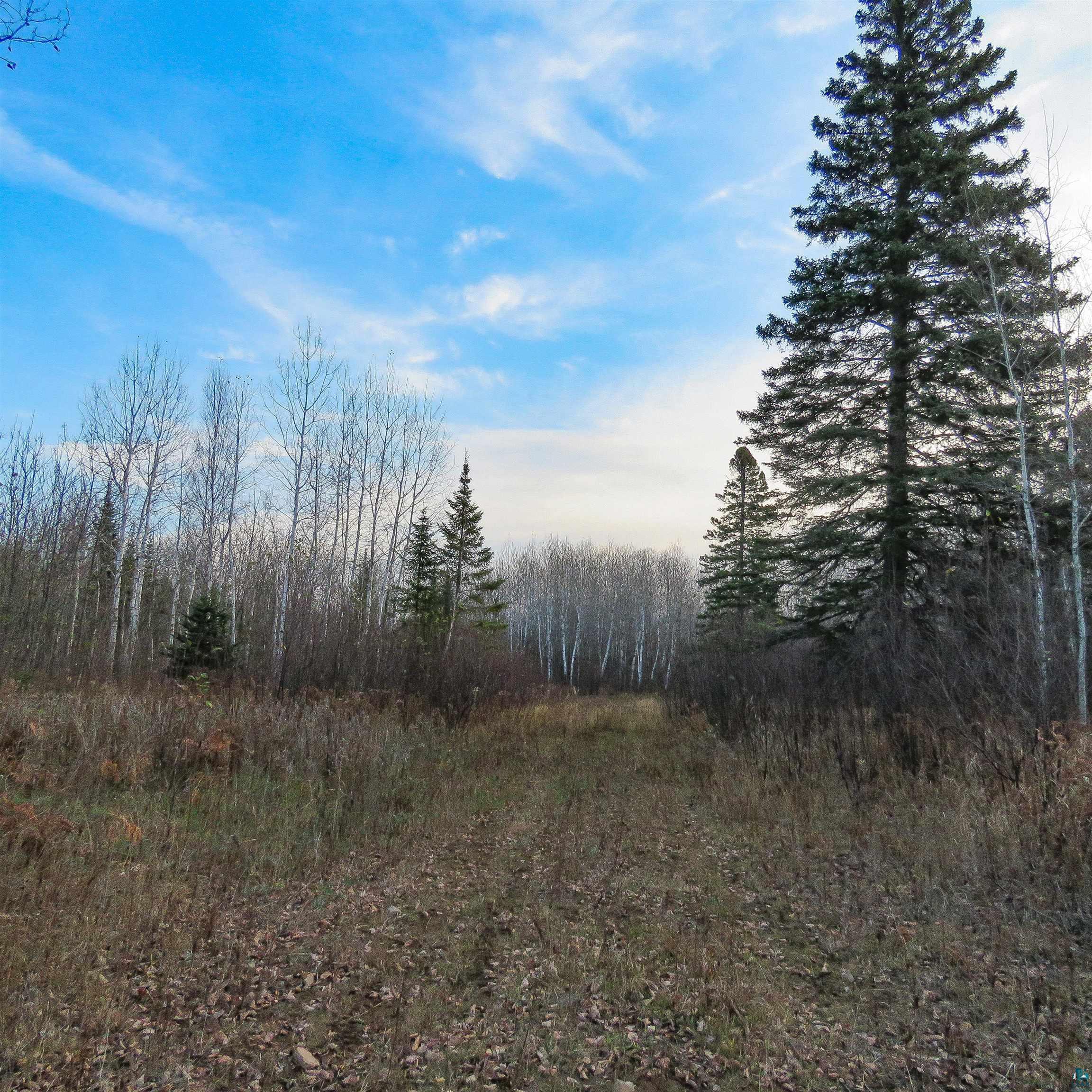 Xxx Mattson Road Finland, MN 55603 - Photo 50 of 50 Gallery Image 50