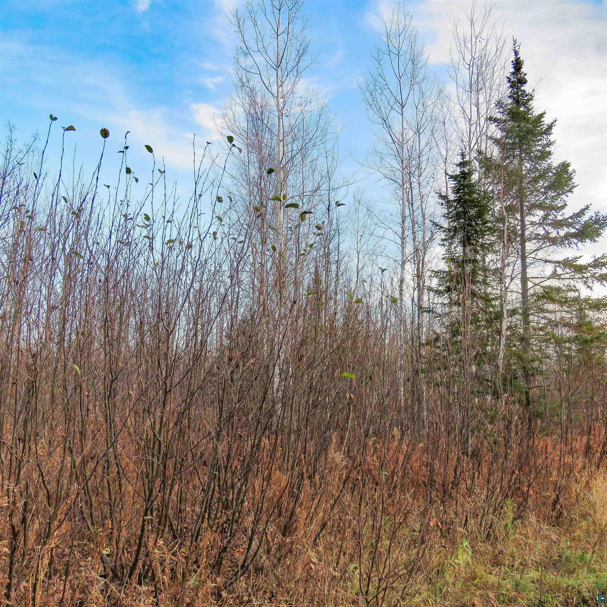 Xxx Mattson Road Finland, MN 55603 - Photo 9 of 50 Gallery Image 9
