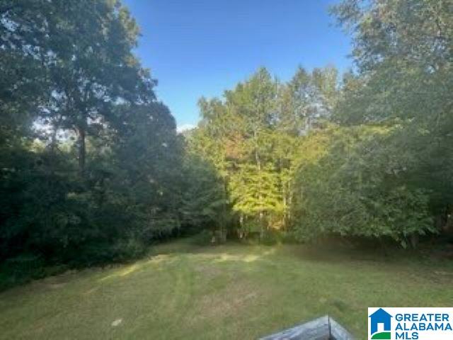 130 Old Dam Road Goodwater, AL 35072 - Photo 15 of 20