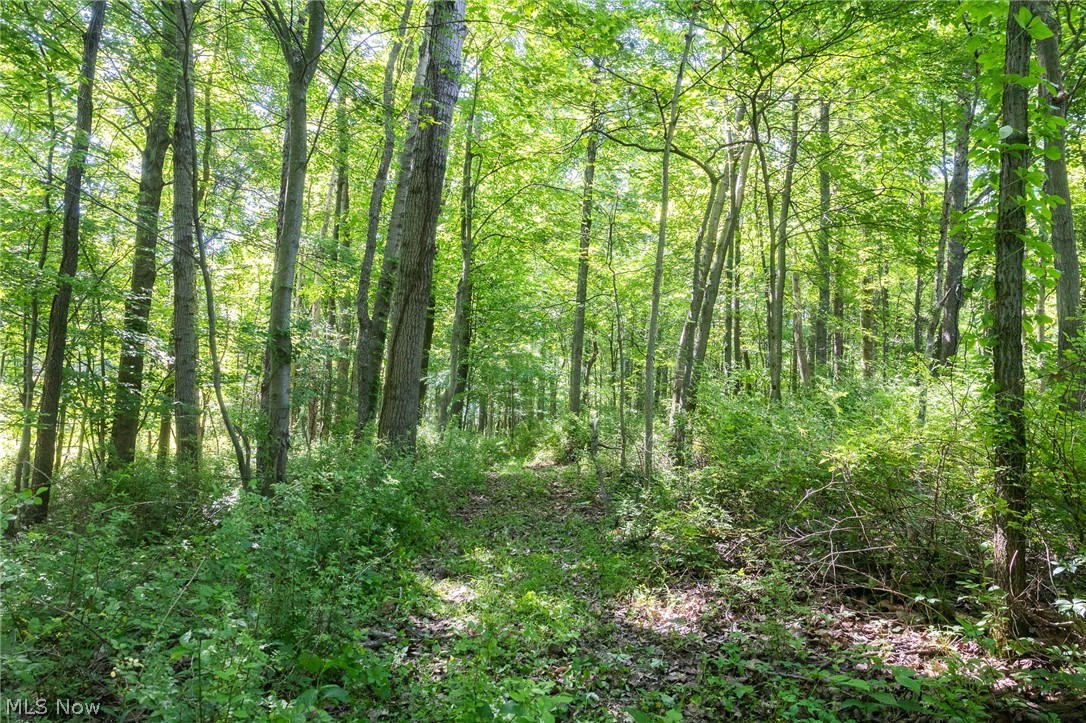 Ridge Road Minerva, OH 44657 - Photo 5 of 49