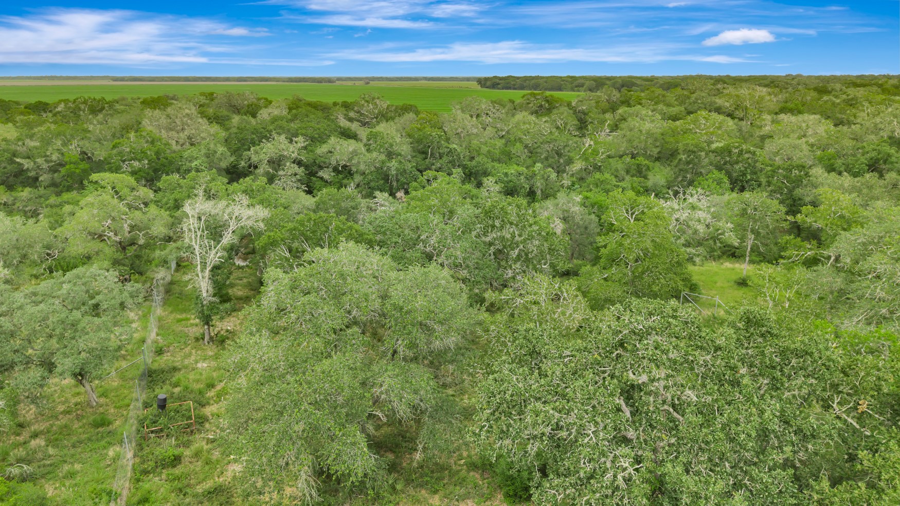 4600 Fm 1862 Road Palacios, TX 77465 - Photo 32 of 43