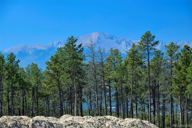 a view of a backyard of the house