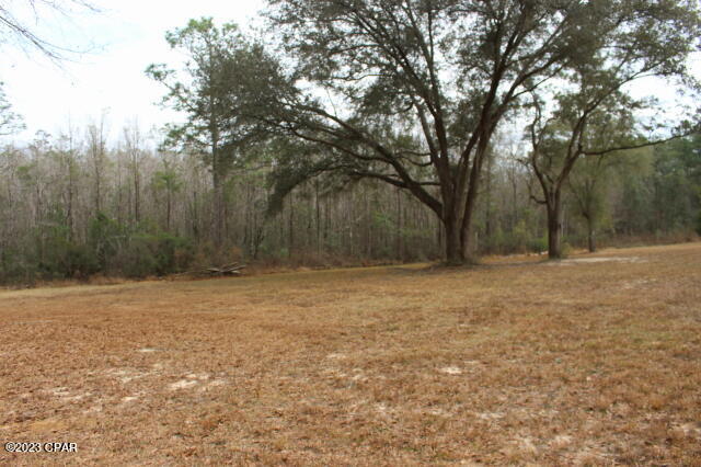 1957 Field Bay Road Caryville, FL 32427 - Photo 16 of 18 Gallery Image 16