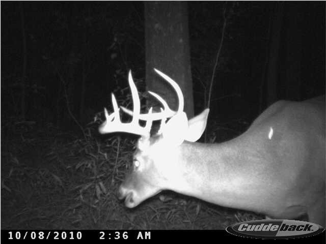 0 South Sardis Road Wesson, MS 39083 - Photo 16 of 16 Photo 16