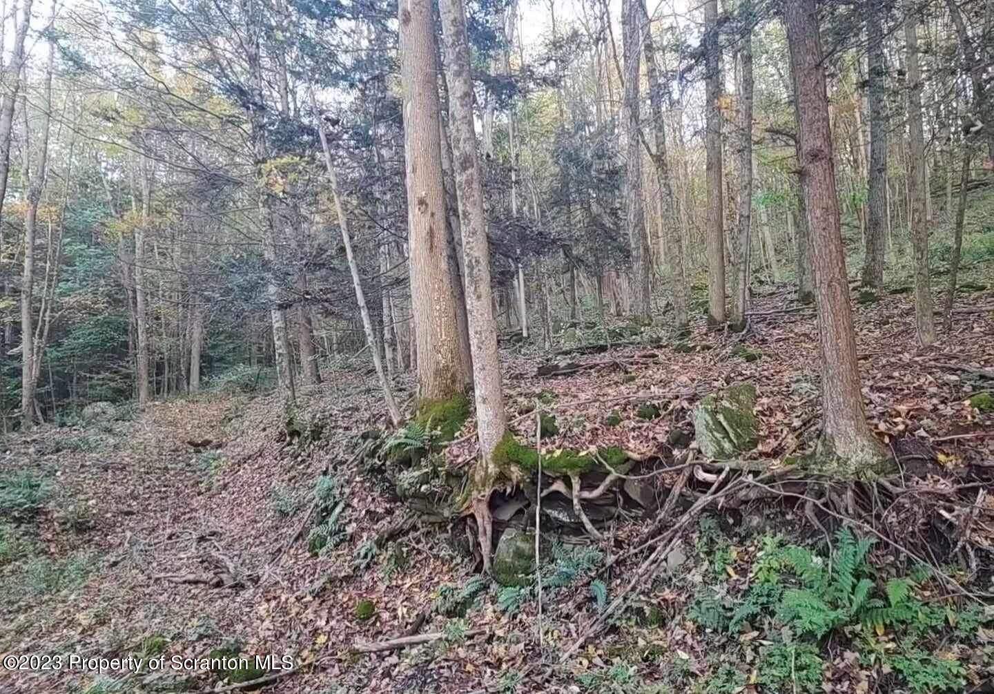 2069 State Route Union Dale, PA 18470 - Photo 2 of 7 C3922848-2B01-43F7-ACE8-F0588A112BD1