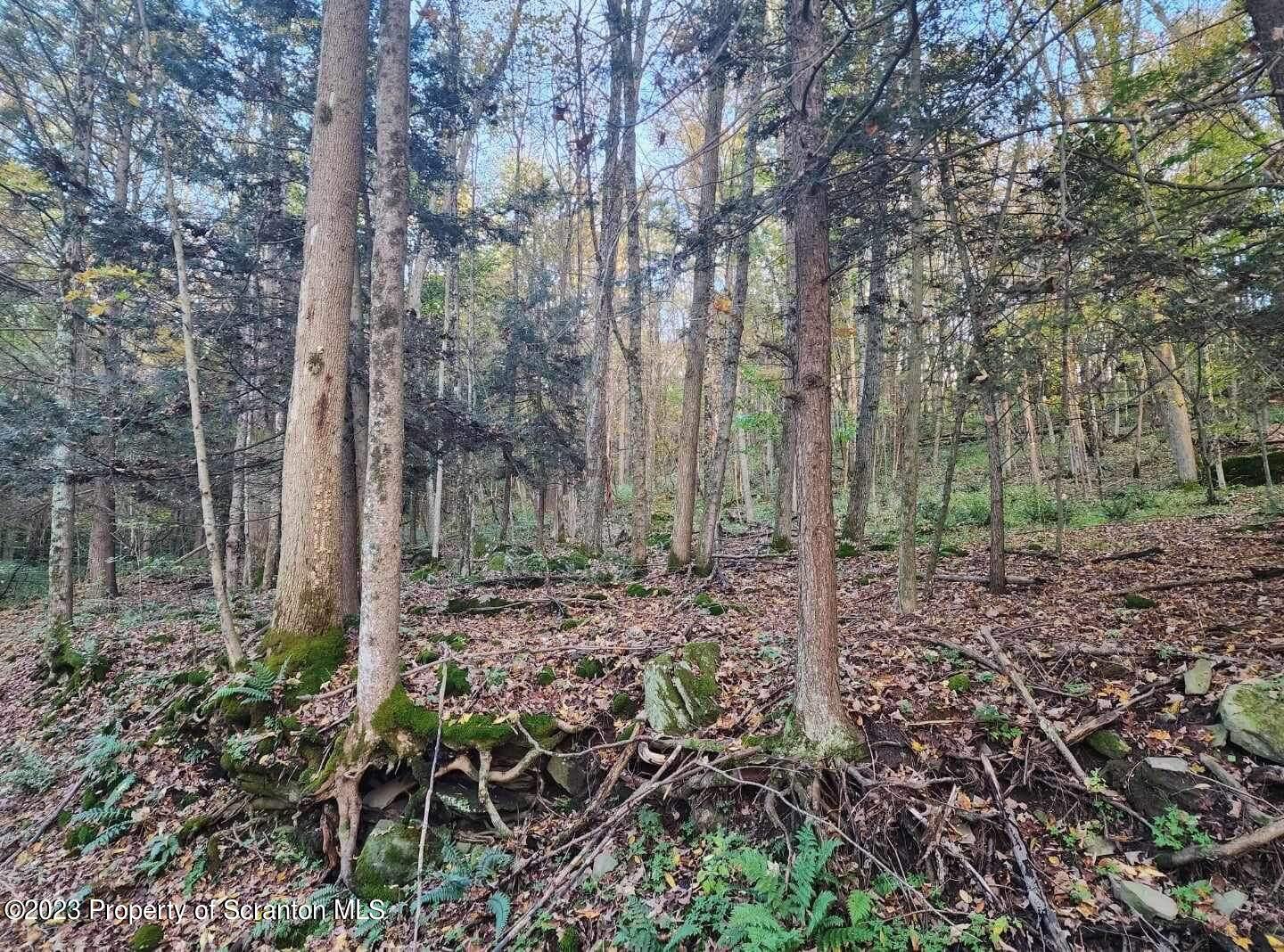 2069 State Route Union Dale, PA 18470 - Photo 3 of 7 97B9FEB2-EE0A-4DB3-ABC1-2AB6581FCBFD