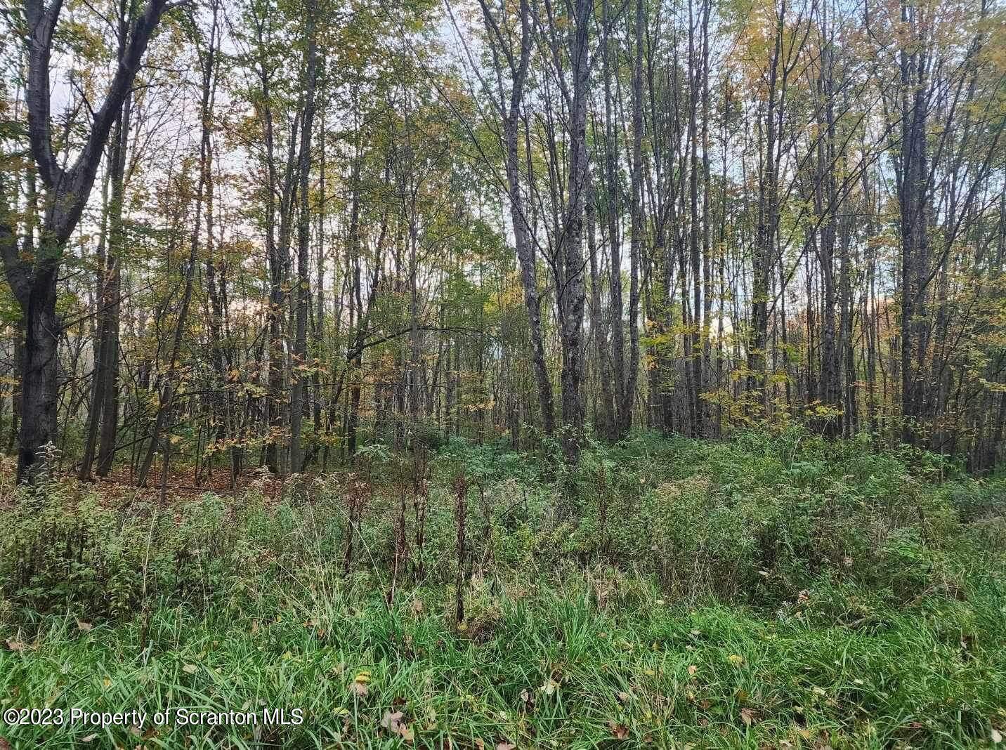 2069 State Route Union Dale, PA 18470 - Photo 4 of 7 A56AD60C-5997-4D61-BDF4-91C356F688DF