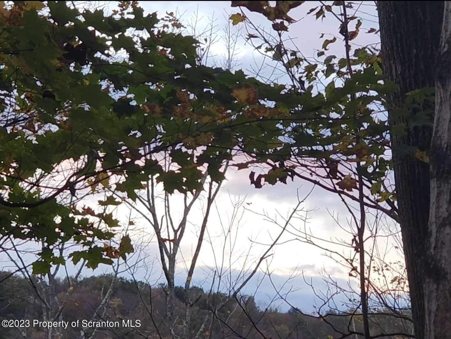 2069 State Route Union Dale, PA 18470 - Photo 6 of 7 7BDE5305-4572-4142-8F60-BC8D9BEC0516