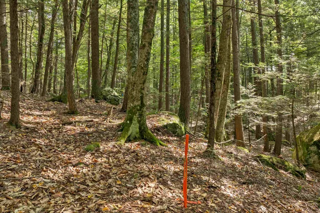 $215,000 | Lot 36 Mauhaut Shores Road, Alton Bay, NH 03810