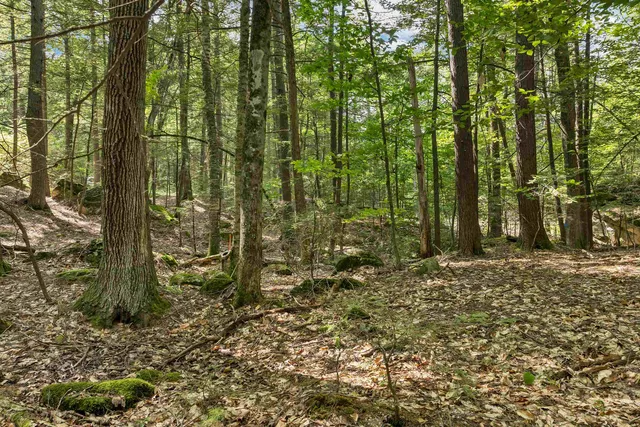 $215,000 | Lot 36 Mauhaut Shores Road, Alton Bay, NH 03810