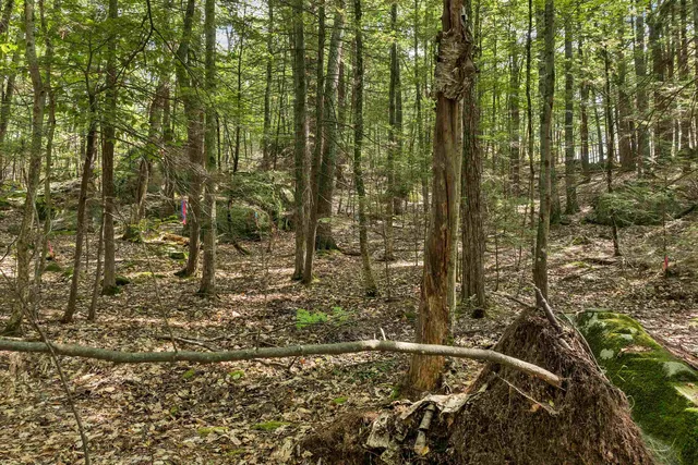 $215,000 | Lot 36 Mauhaut Shores Road, Alton Bay, NH 03810