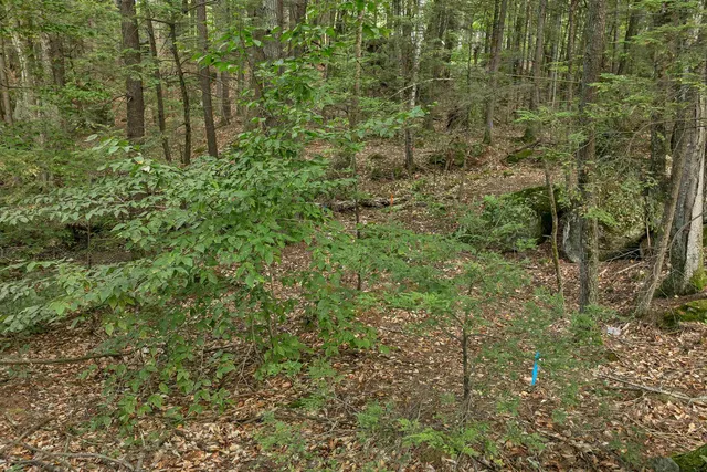 $215,000 | Lot 36 Mauhaut Shores Road, Alton Bay, NH 03810