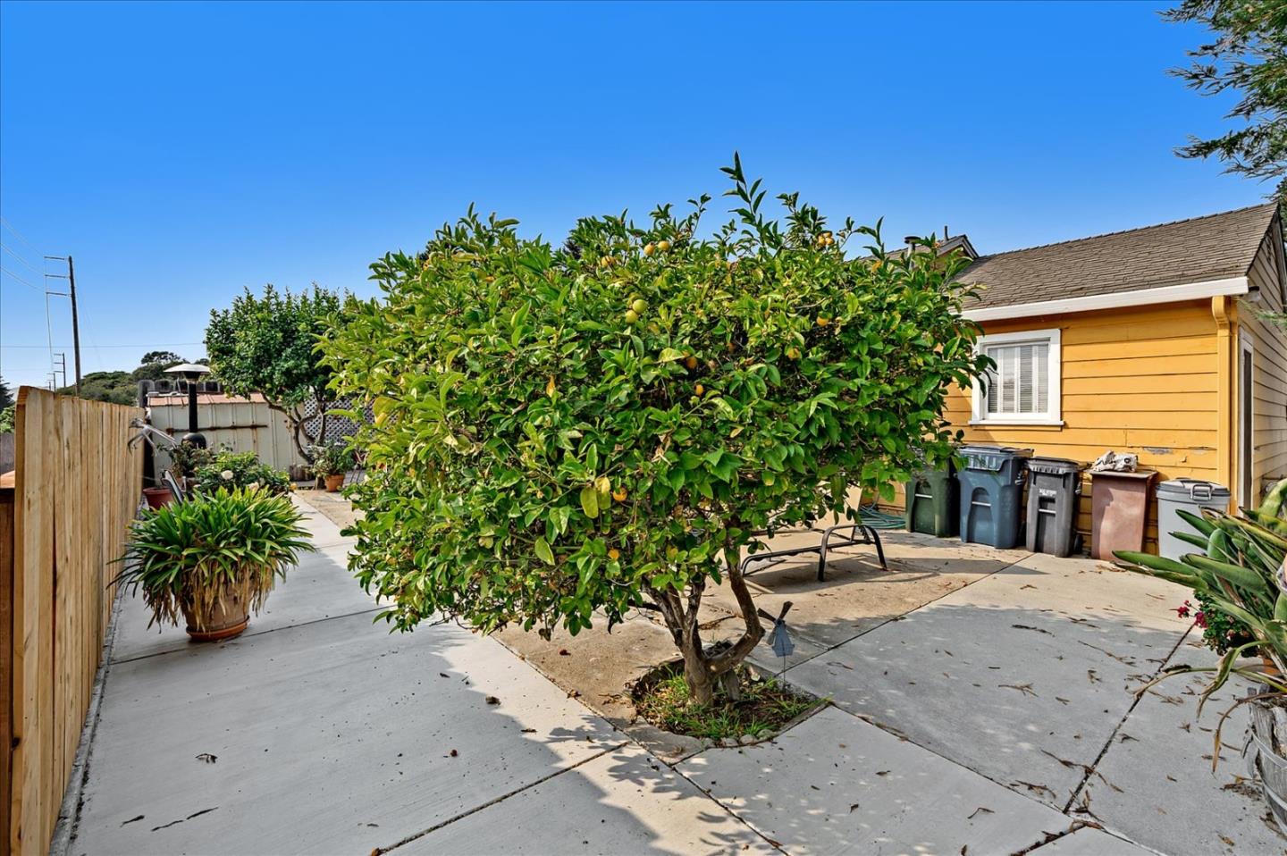 6 Work Avenue Del Rey Oaks, CA 93940 - Photo 17 of 18 Gallery Image 17