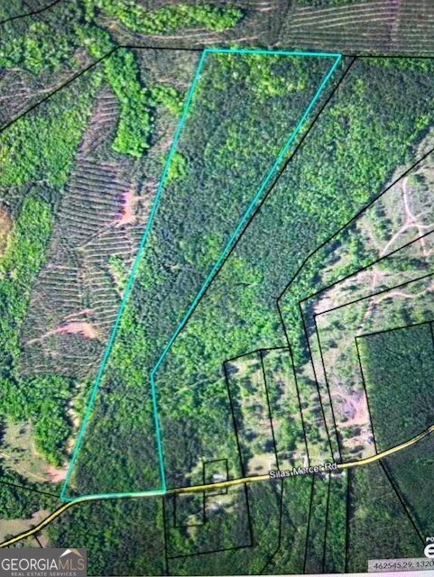 0 Silas Mercer Road Northeast Crawfordville, GA 30631 - Photo 11 of 12